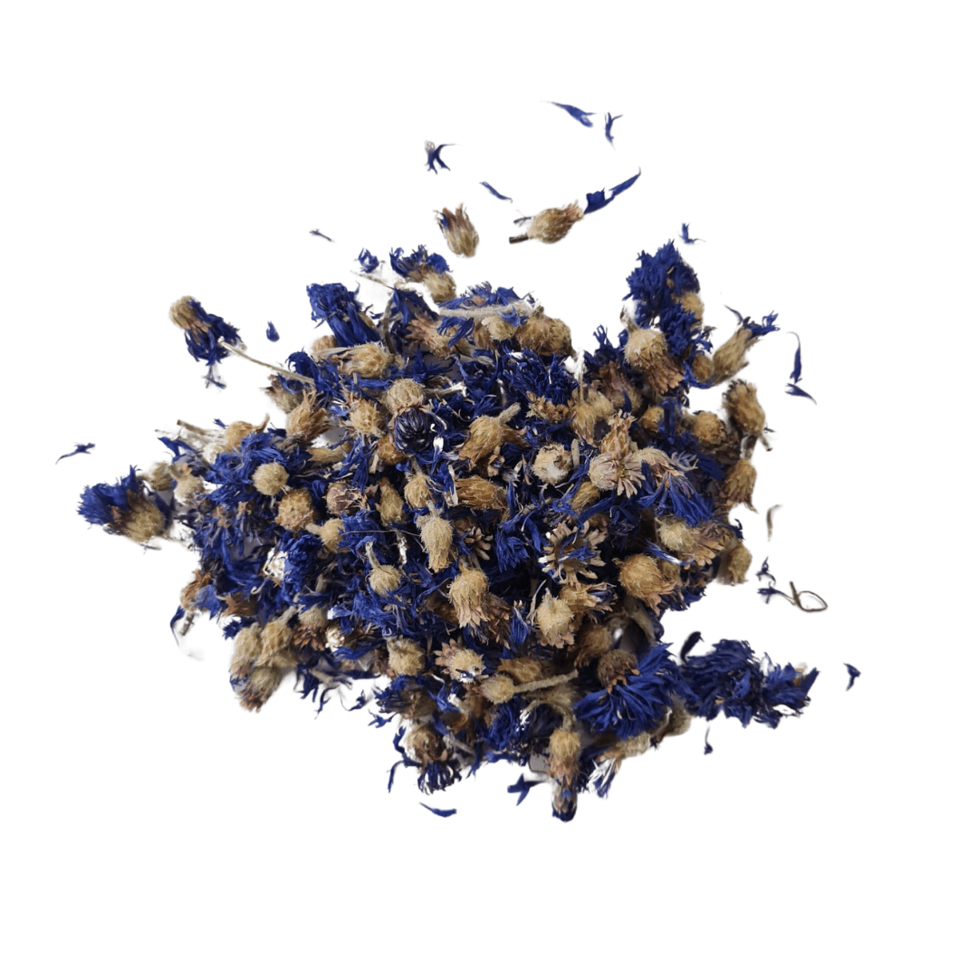 Blue Cornflowers