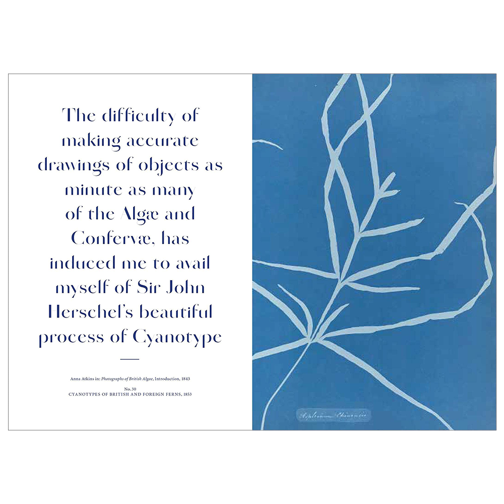Anna Atkins: Blue Prints