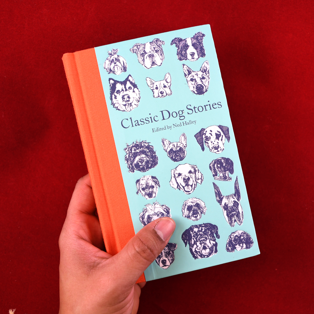 Classic Dog Stories
