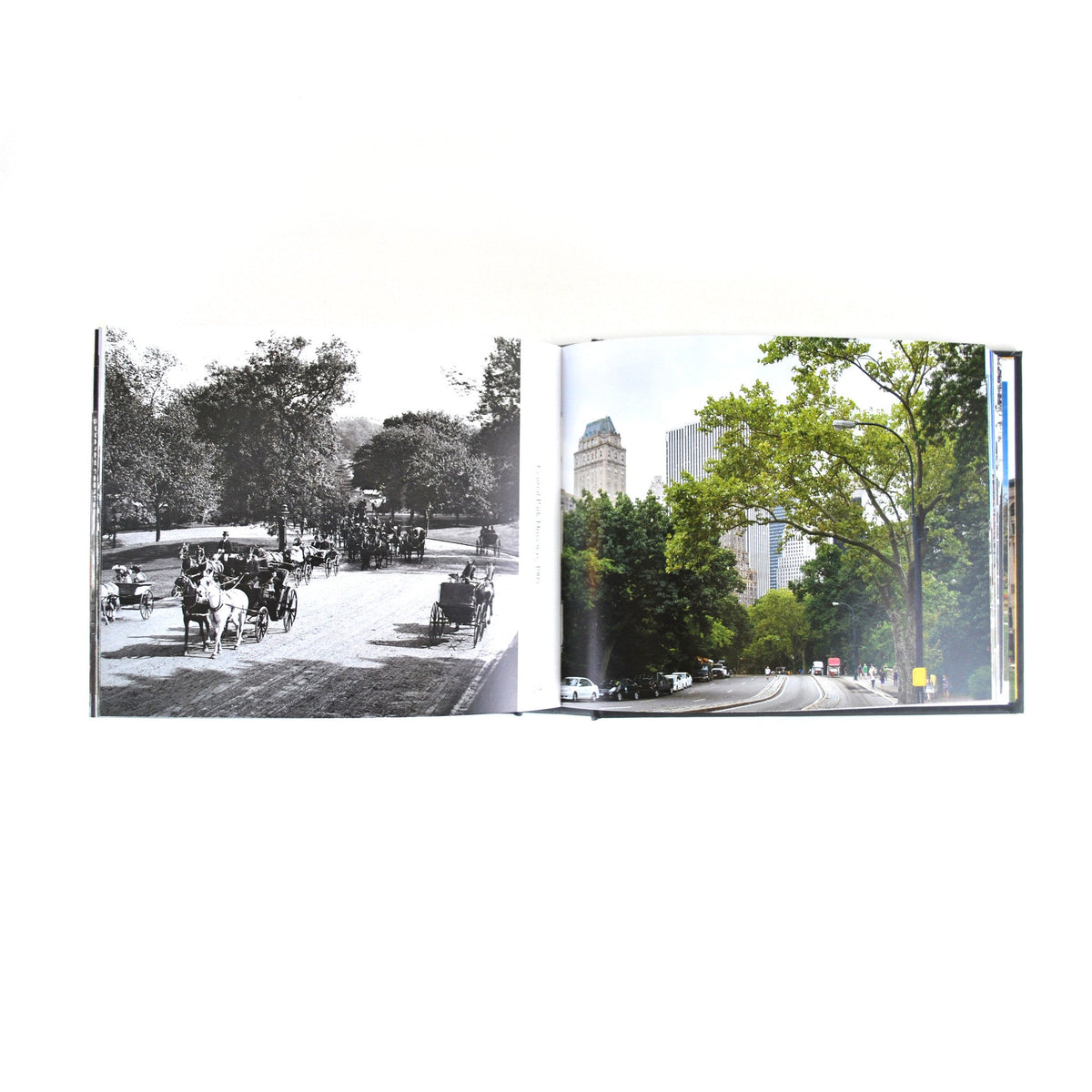 New York Then and Now: People and Places