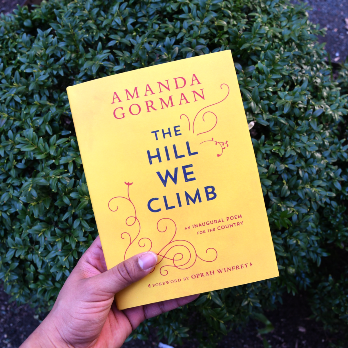 The Hill We Climb: An Inaugural Poem for the Country