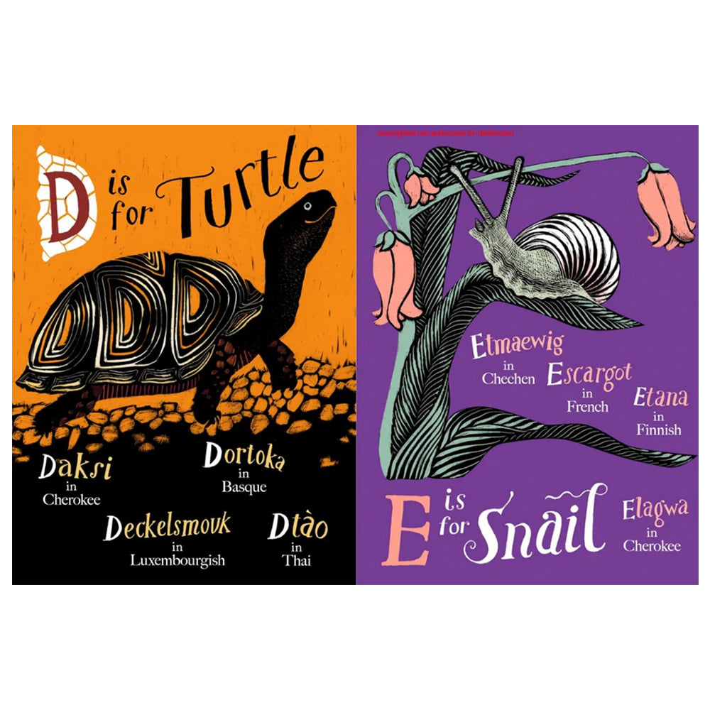 A is for Bee: An Alphabet Book in Translation