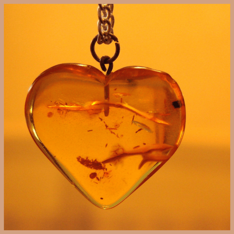Amber & Patchouli Fragrance Oil