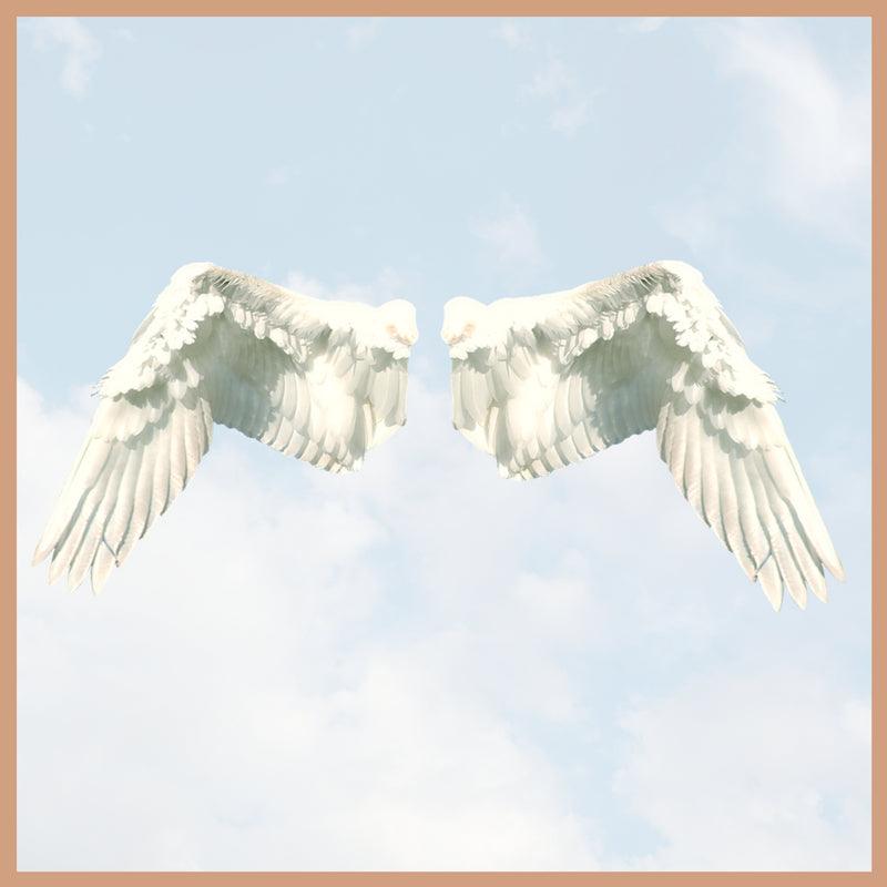 Angelic Touch Fragrance Oil