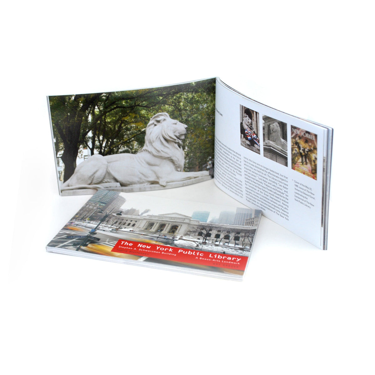 The New York Public Library: Beaux Arts Landmark Book