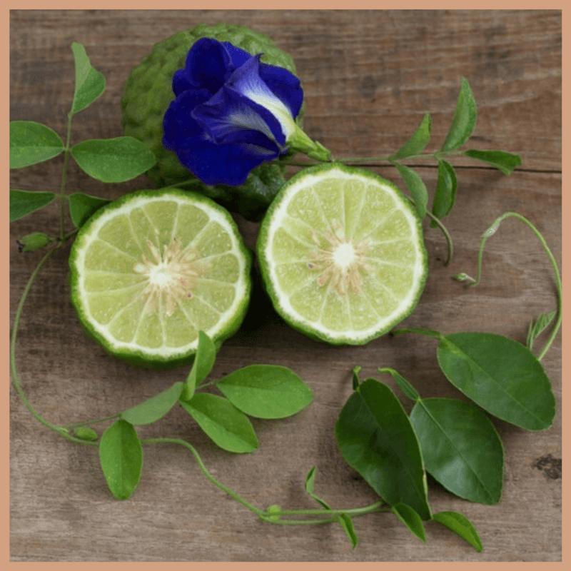Bergamot & Patchouli Fragrance Oil