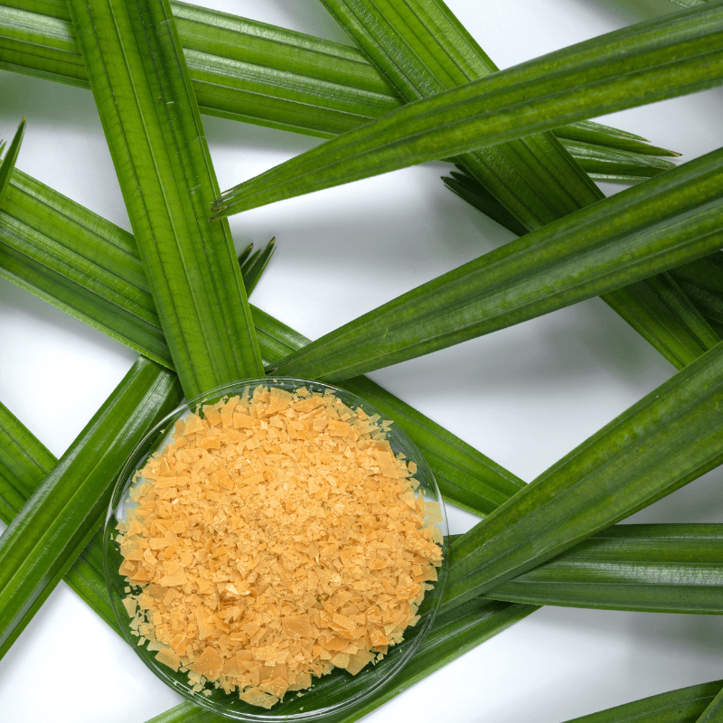 Carnauba Wax