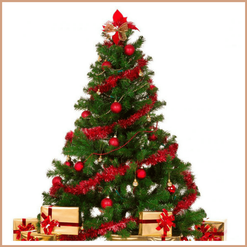 Christmas Tree Fragrance Oil