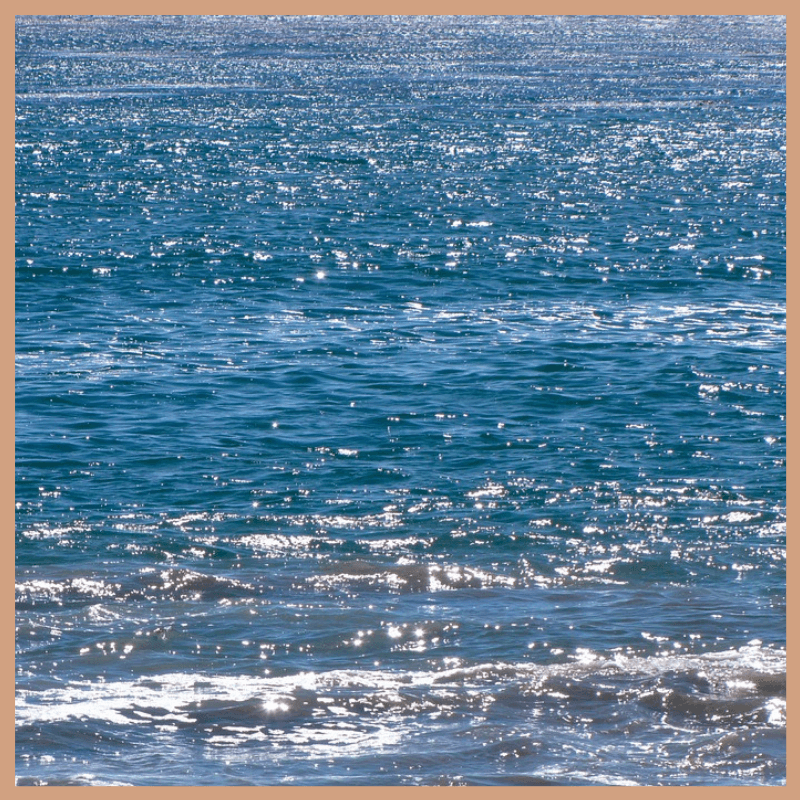 Cool Water Fragrance Oil
