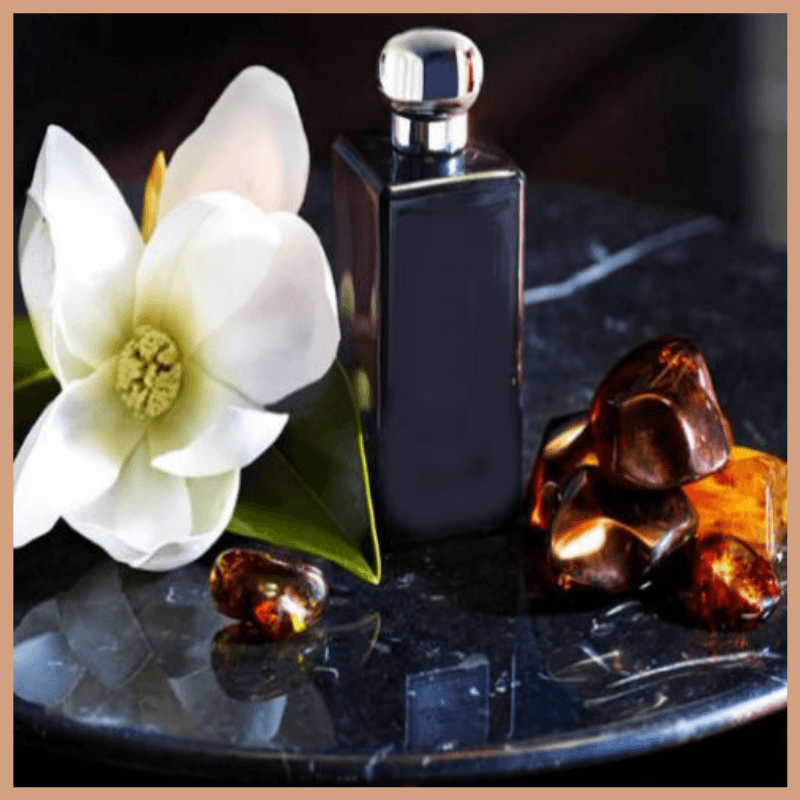 Dark Amber & Ginger Lily Fragrance Oil