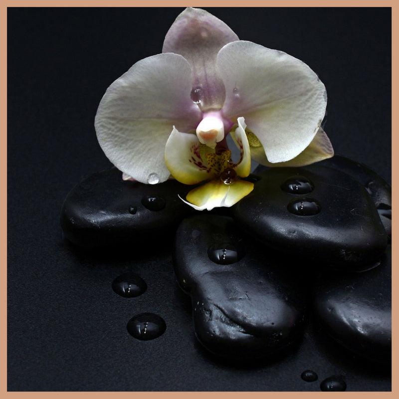 Dark Orchid Fragrance Oil
