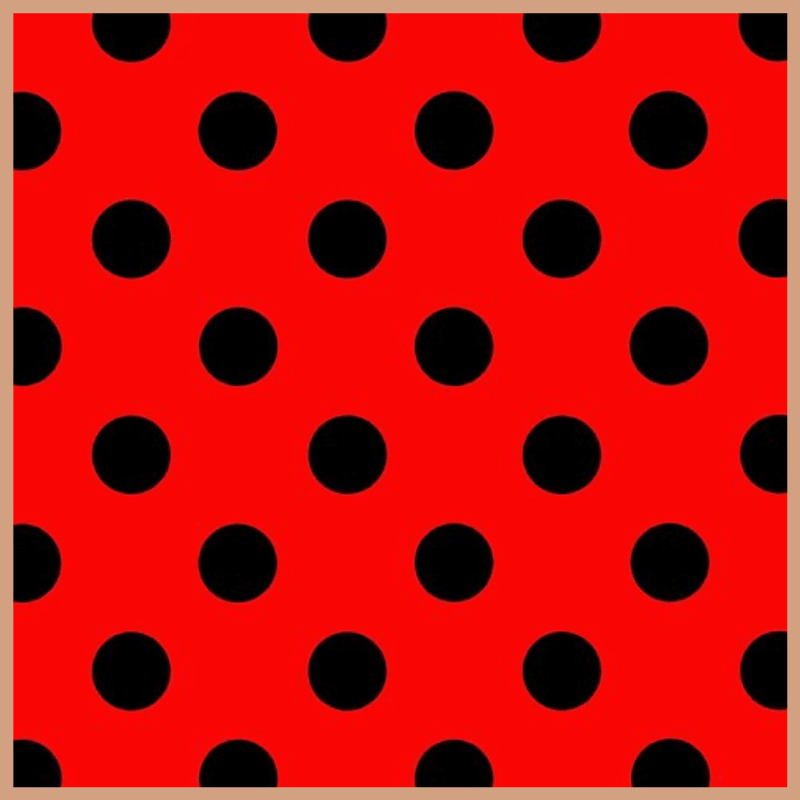 Dotty Fragrance Oil