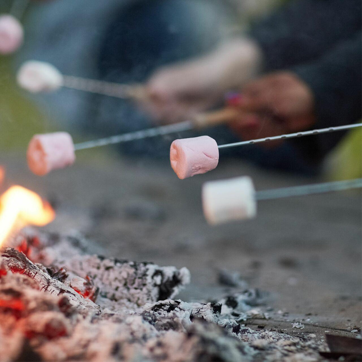 Fireside Treats Fragrance Oil