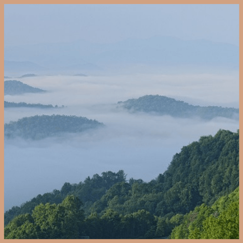 FloZora Mountain Air Fragrance Oil