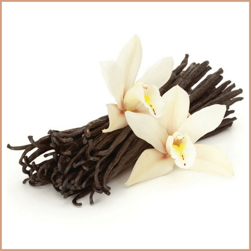 French Vanilla Fragrance Oil