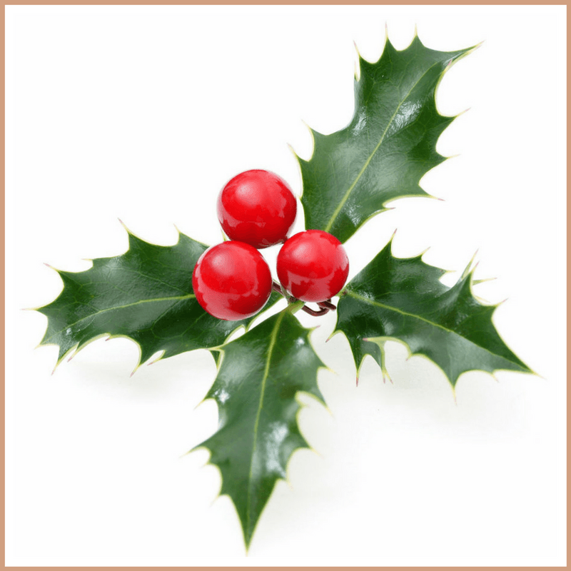 Holly Berry Fragrance Oil