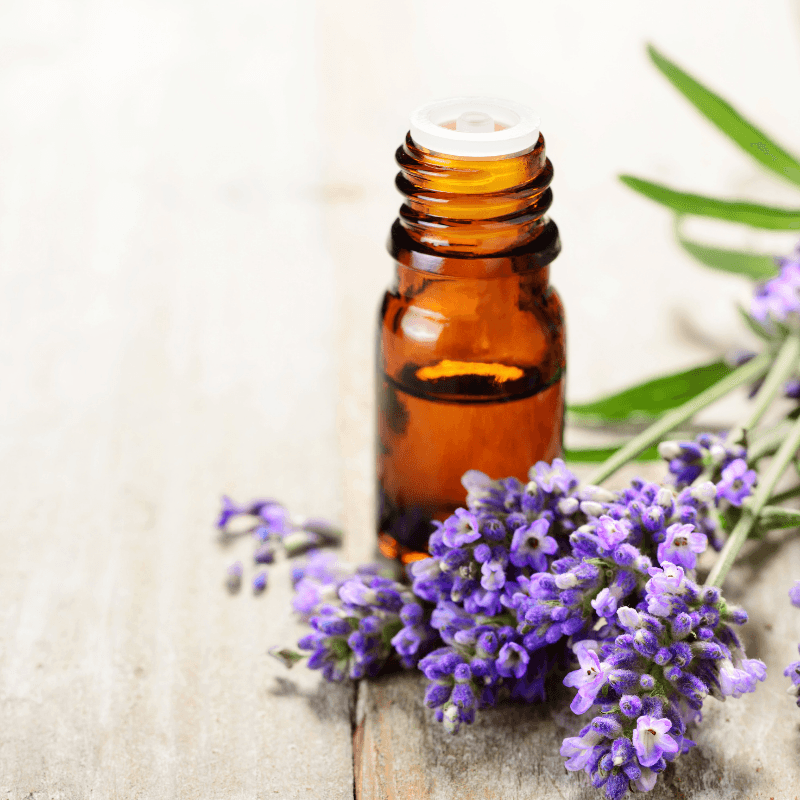 Lavender Essential Oil