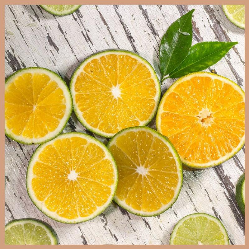 Lime Basil & Mandarin Fragrance Oil