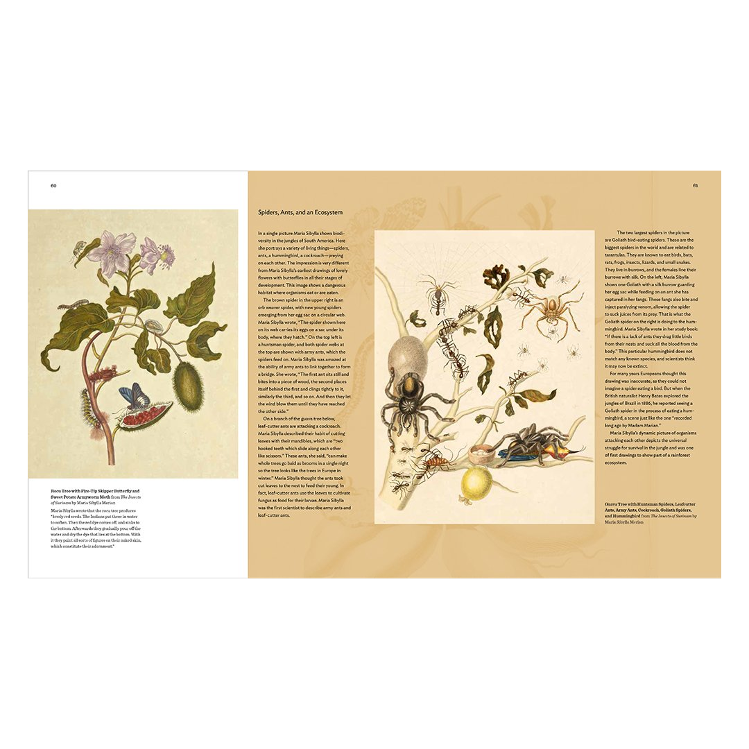 Maria Sibylla Merian: Artist, Scientist, Adventurer