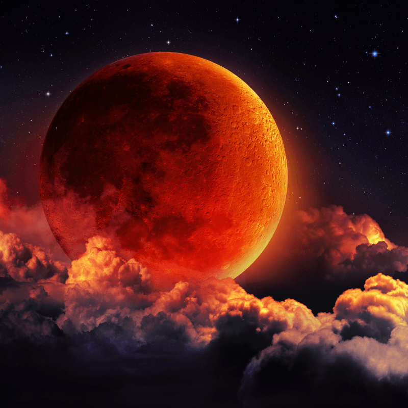 Red Moon Fragrance Oil