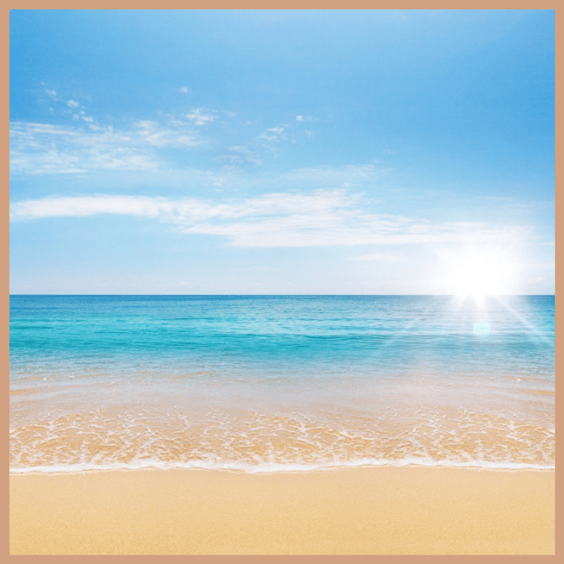 Sand & Sun Fragrance Oil
