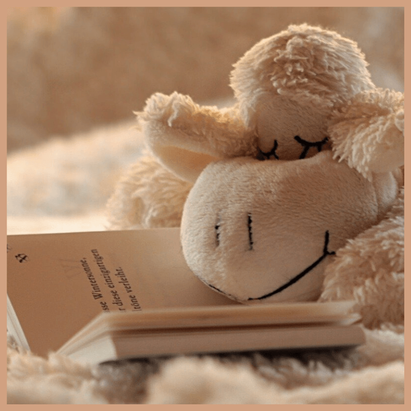 Snuggle Fragrance Oil