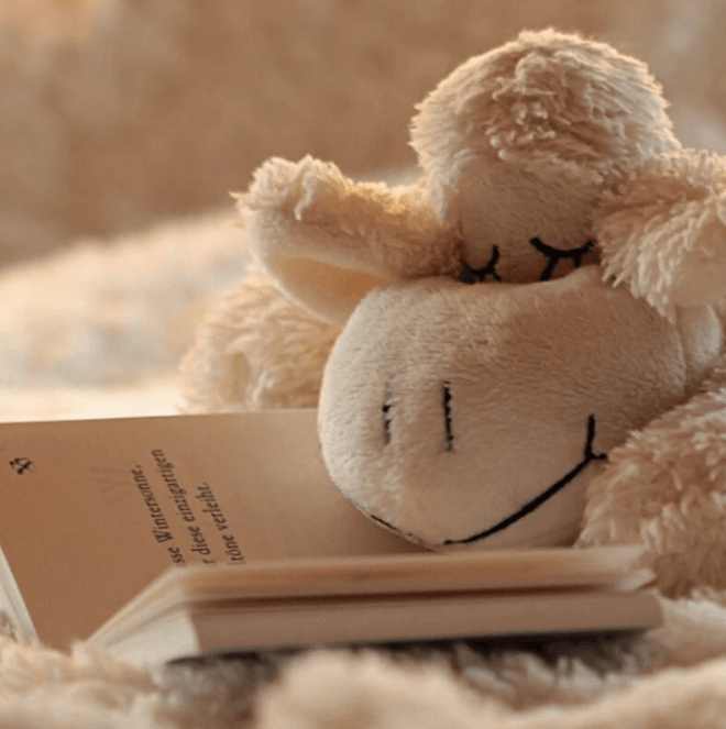 Snuggle Fragrance Oil (Diffuser-Friendly)