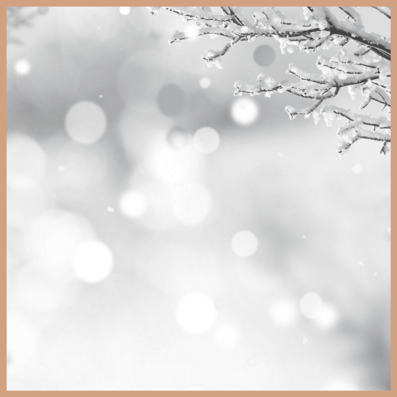 Sparkly Snow Fragrance Oil
