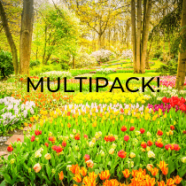 Spring Inspired Fragrance Oil Selection