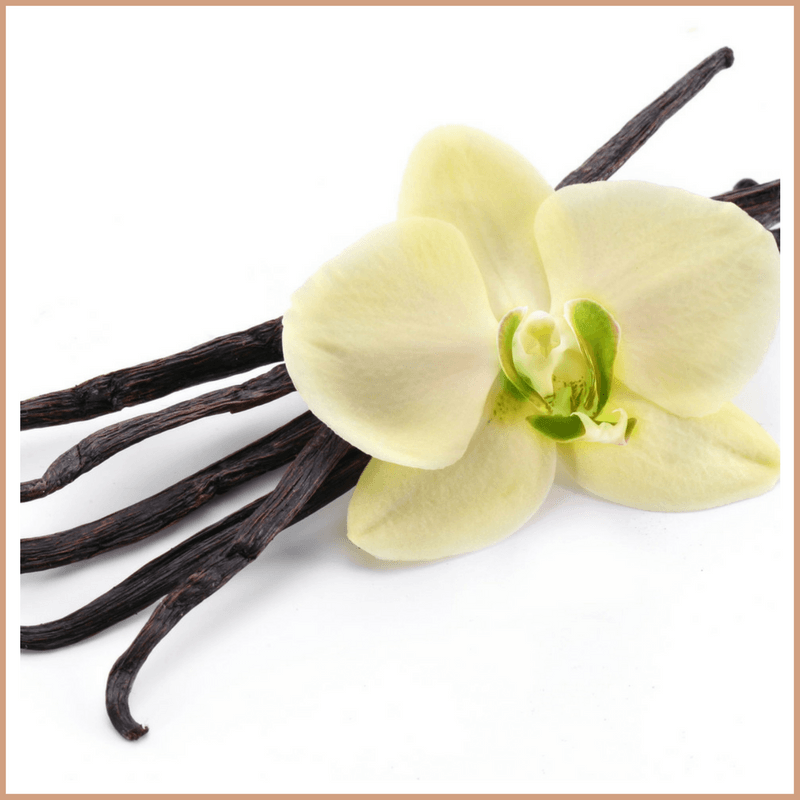 Vanilla Fragrance Oil