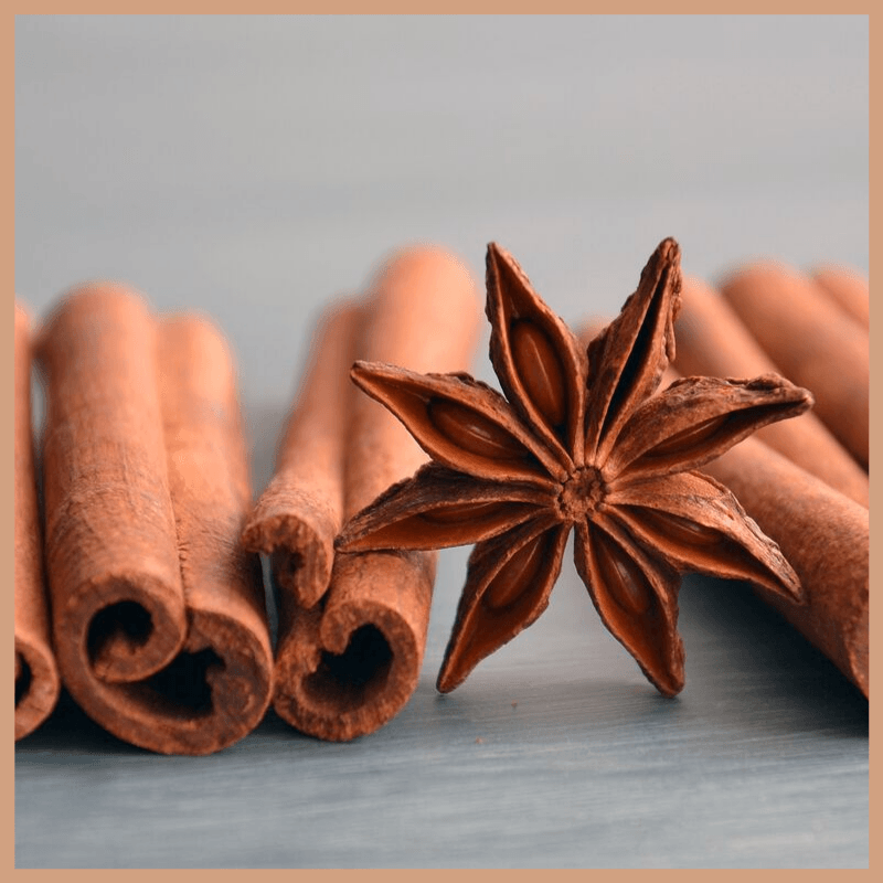 Yank Cinnamon Stick Fragrance Oil