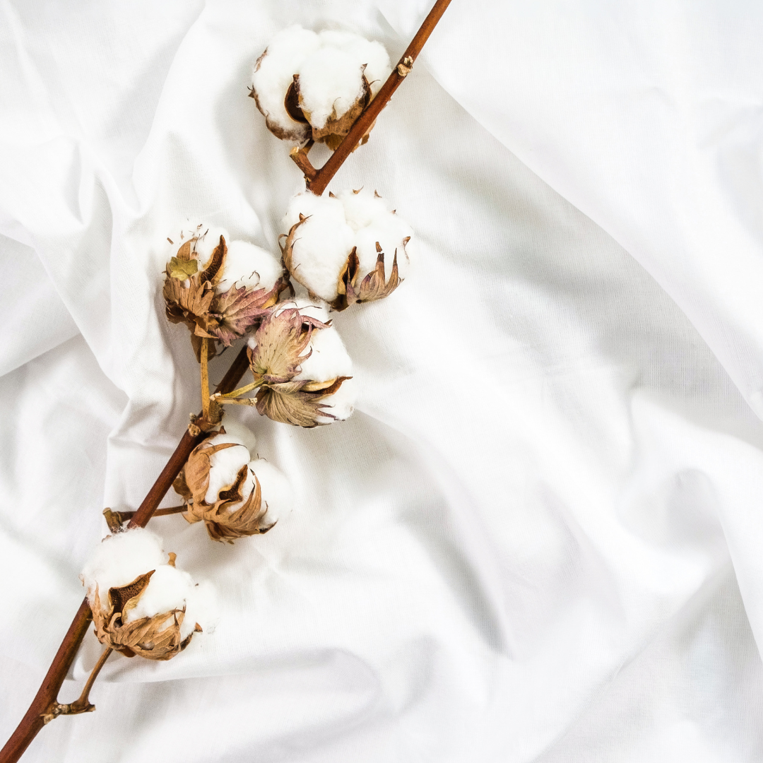 White Suede & Sweet Musk Fragrance Oil
