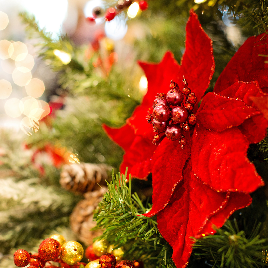 Festive Foliage Fragrance Oil