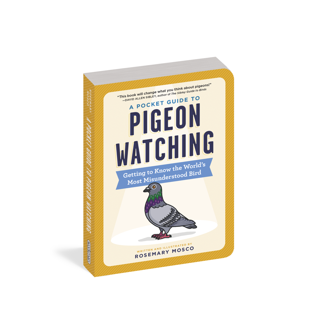 A Pocket Guide to Pigeon Watching: Getting to Know the World's Most Misunderstood Bird