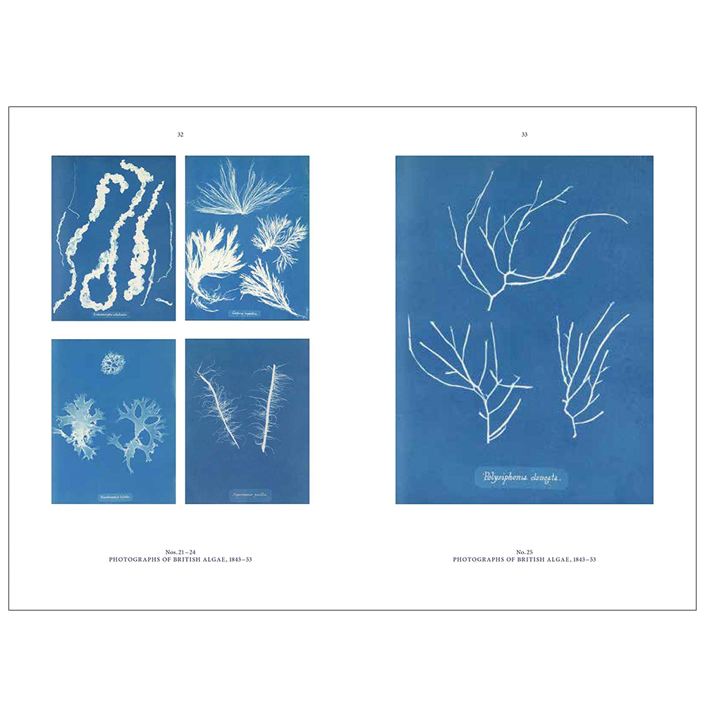 Anna Atkins: Blue Prints