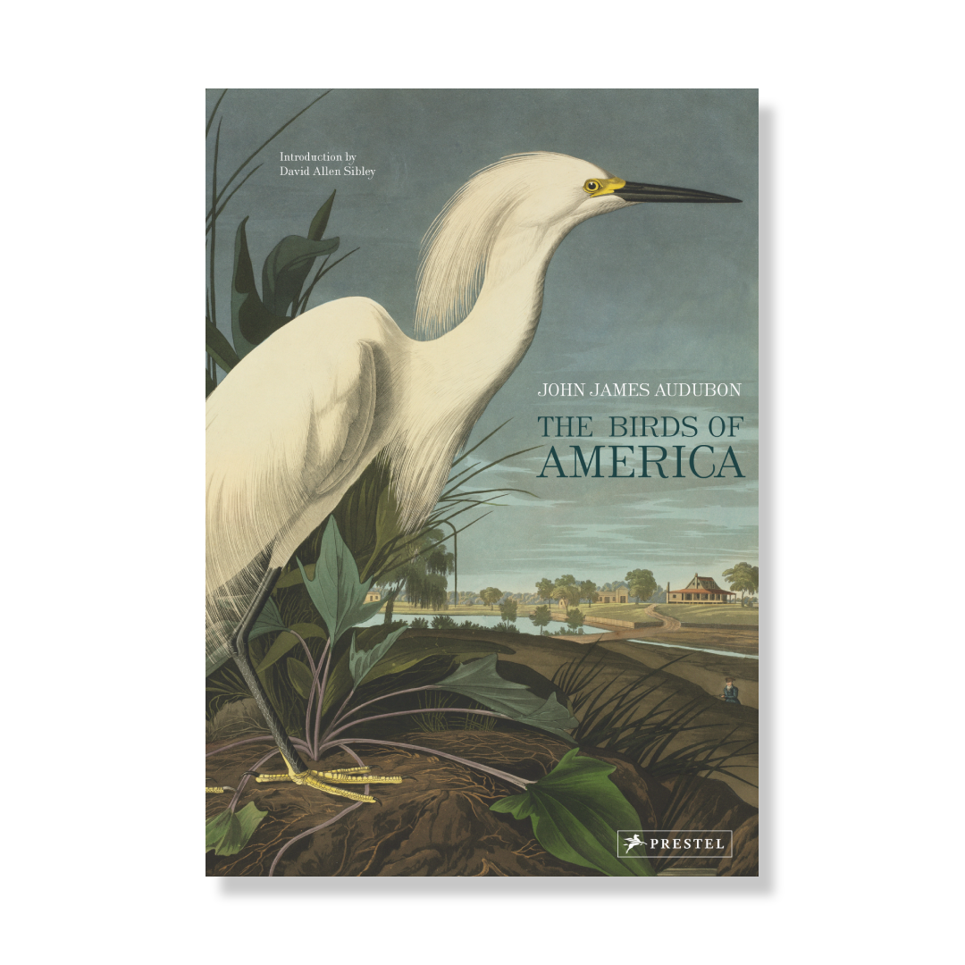 The Birds of America
