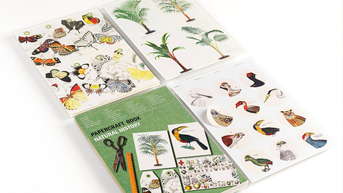 Papercraft Book: Natural History