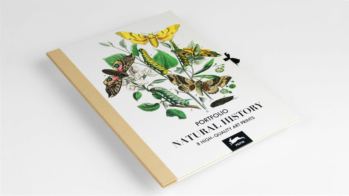 Art Portfolio: Natural History