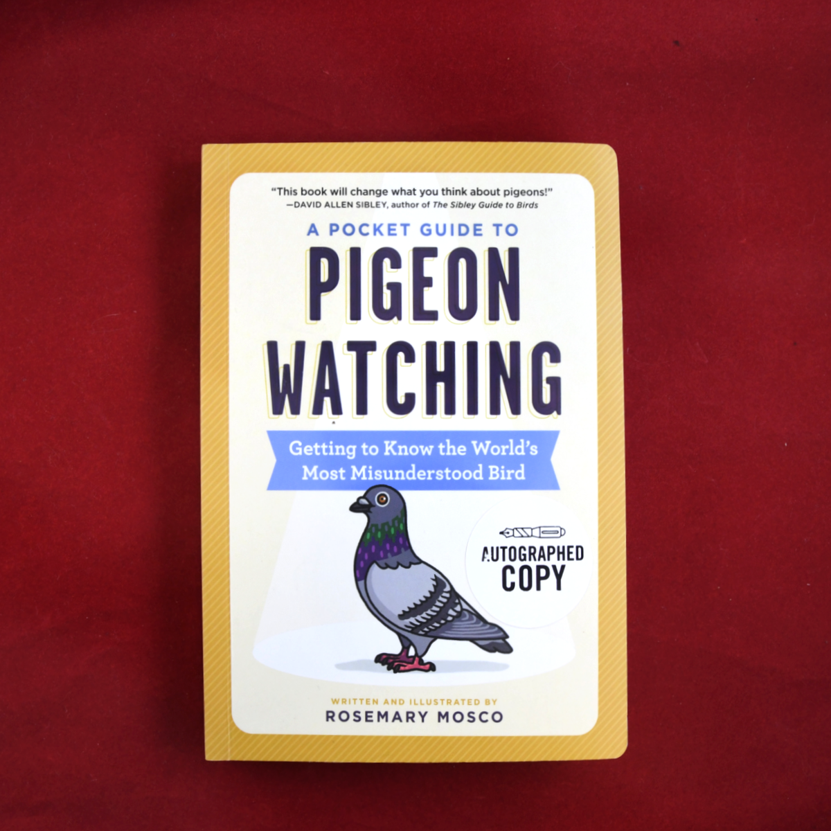 A Pocket Guide to Pigeon Watching: Getting to Know the World's Most Misunderstood Bird