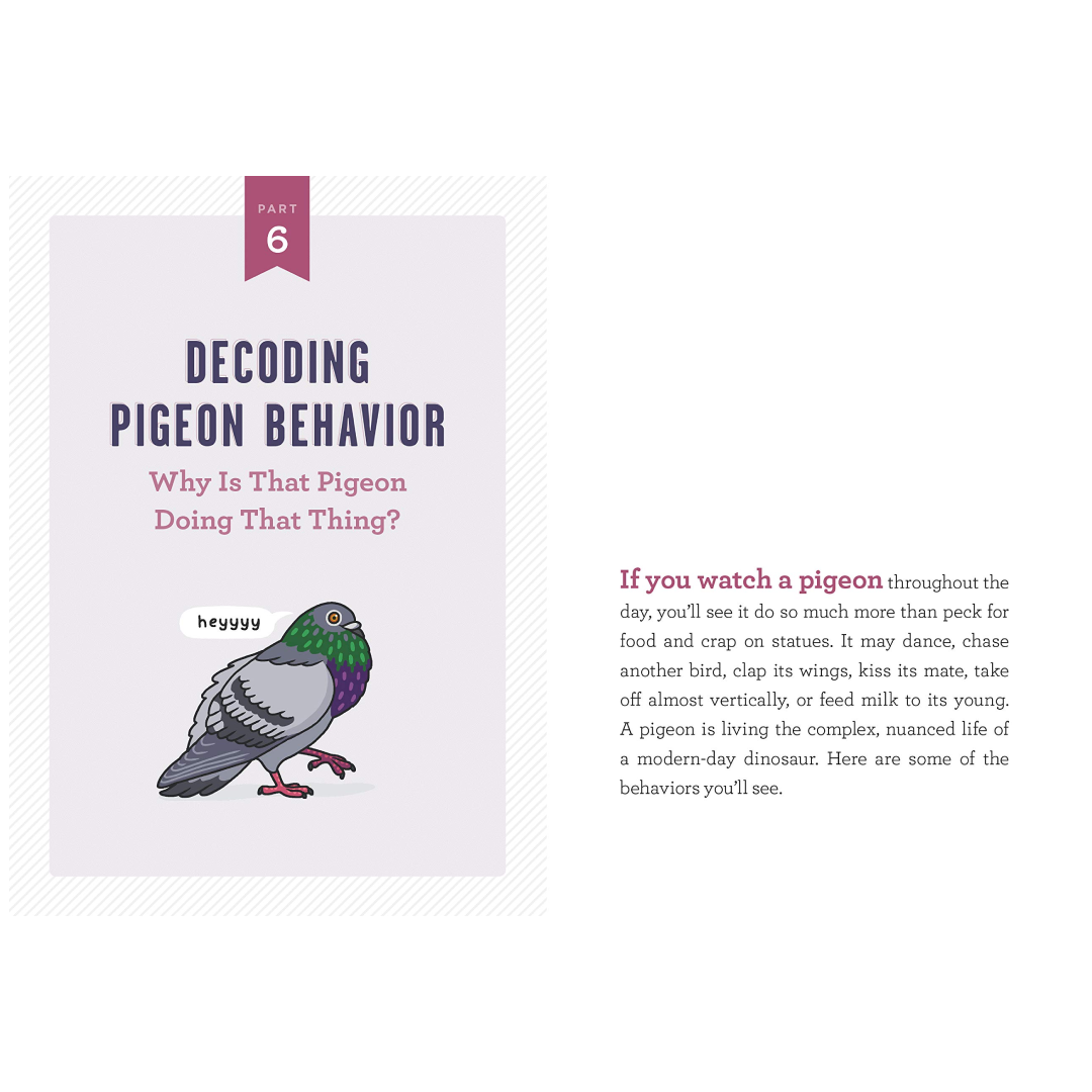 A Pocket Guide to Pigeon Watching: Getting to Know the World's Most Misunderstood Bird