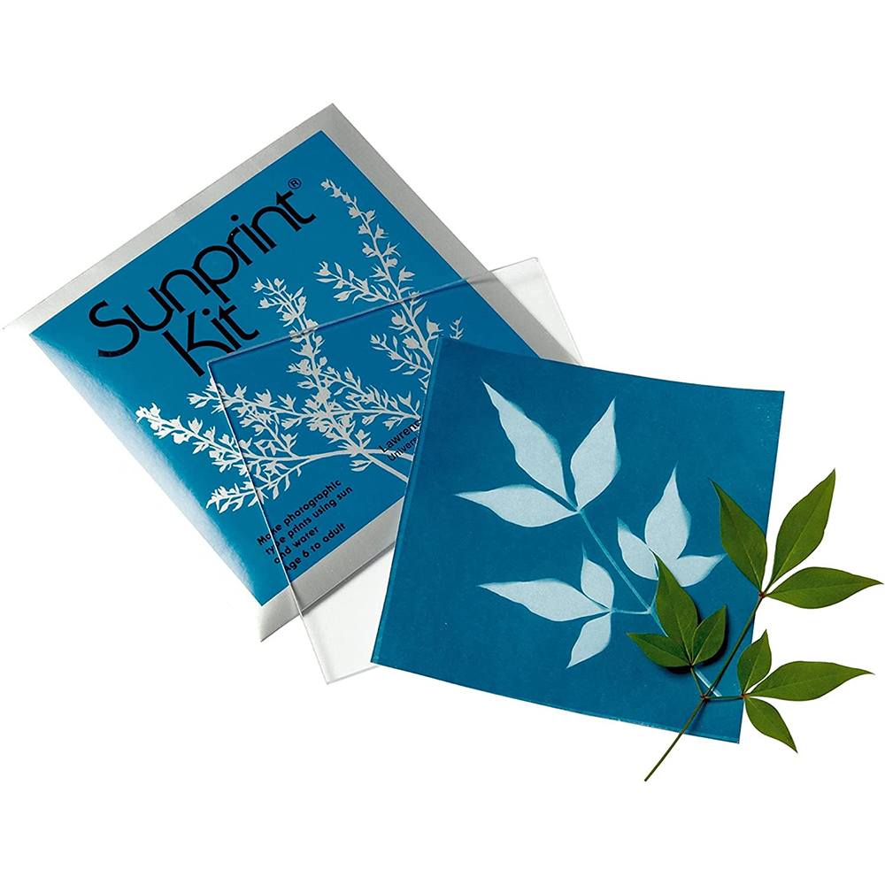 The Bluest of Blues + Sunprint Activity Set