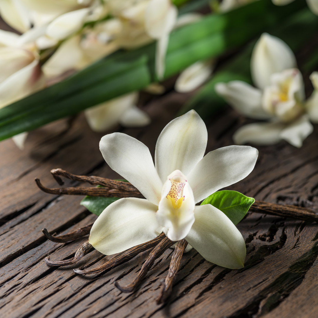 Daffodil & Vanilla Fragrance Oil