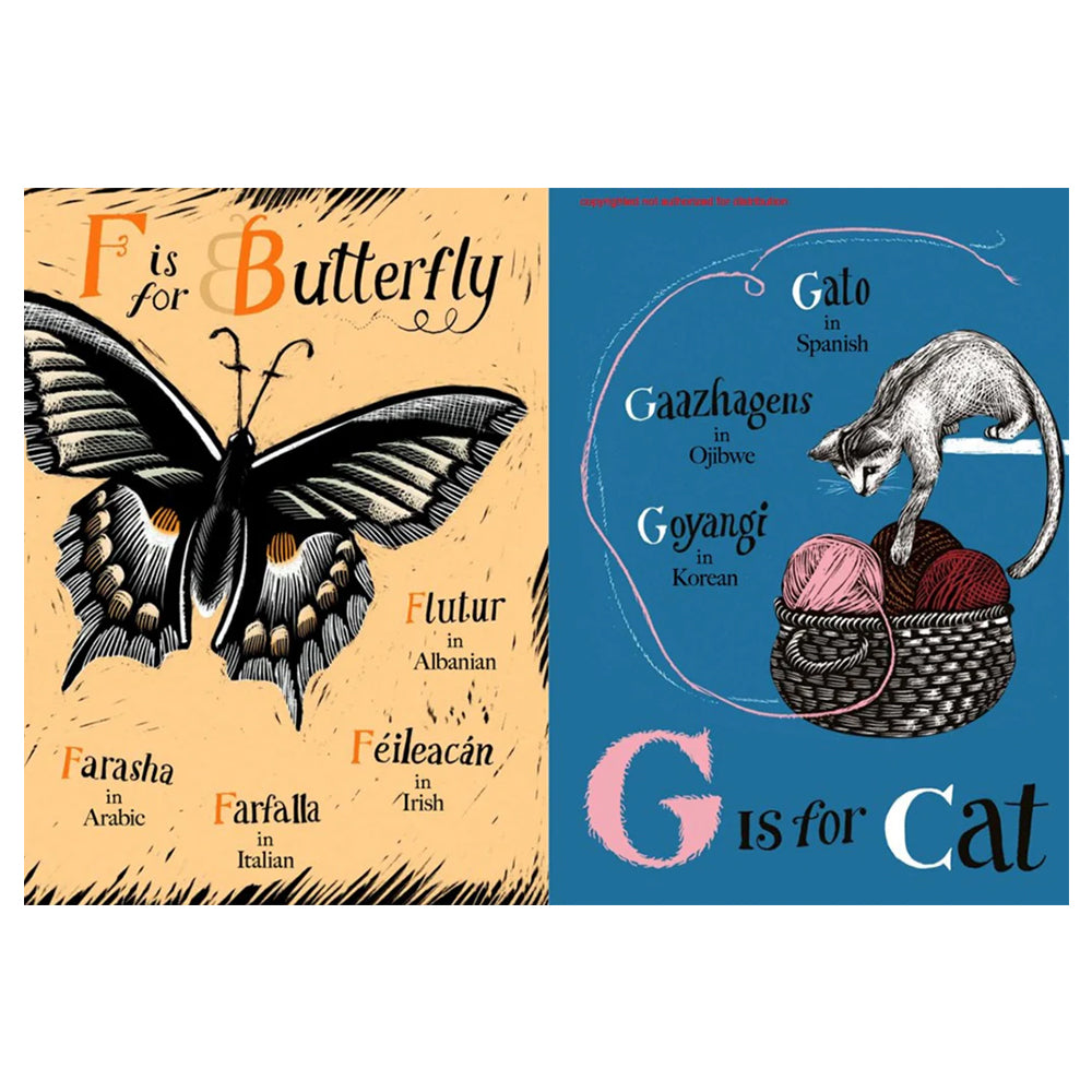 A is for Bee: An Alphabet Book in Translation