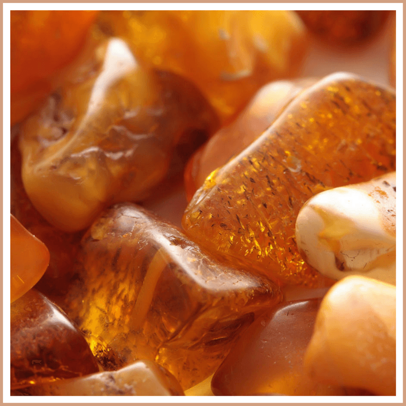 Amber Fragrance Oil