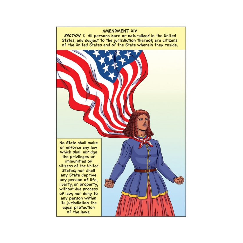 Constitution Illustrated