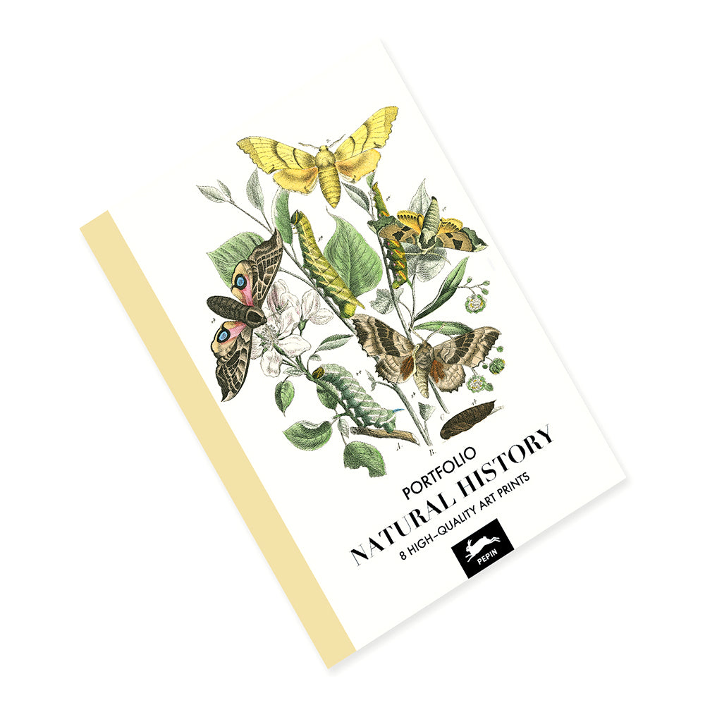 Art Portfolio: Natural History