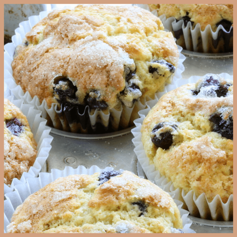 Blueberry Muffin Fragrance Oil