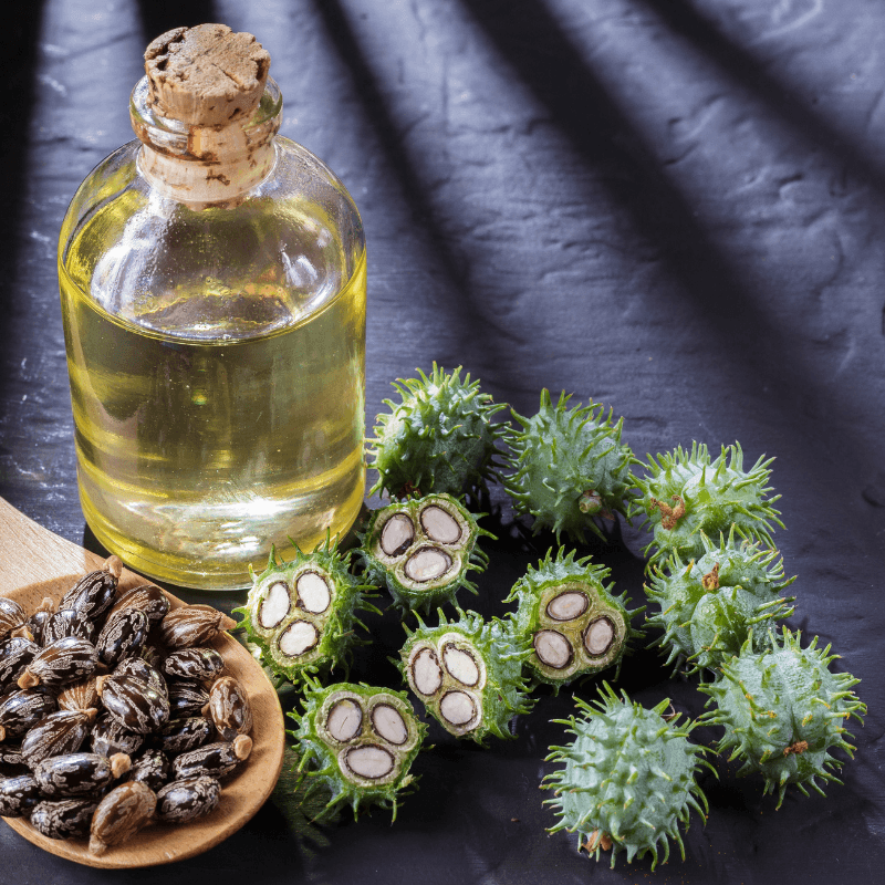 Castor Refined Oil