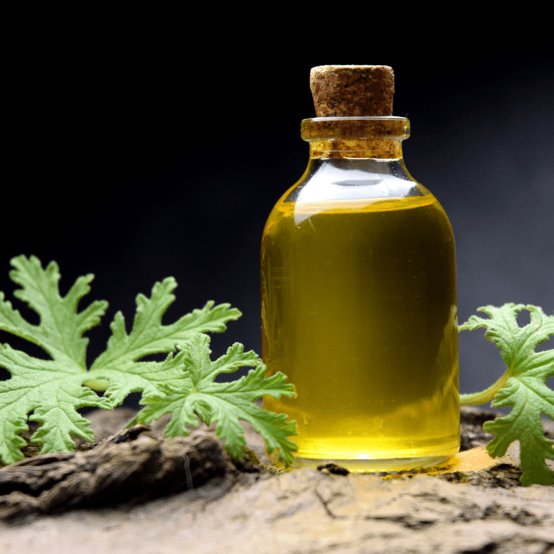 Citronella Java Essential Oil