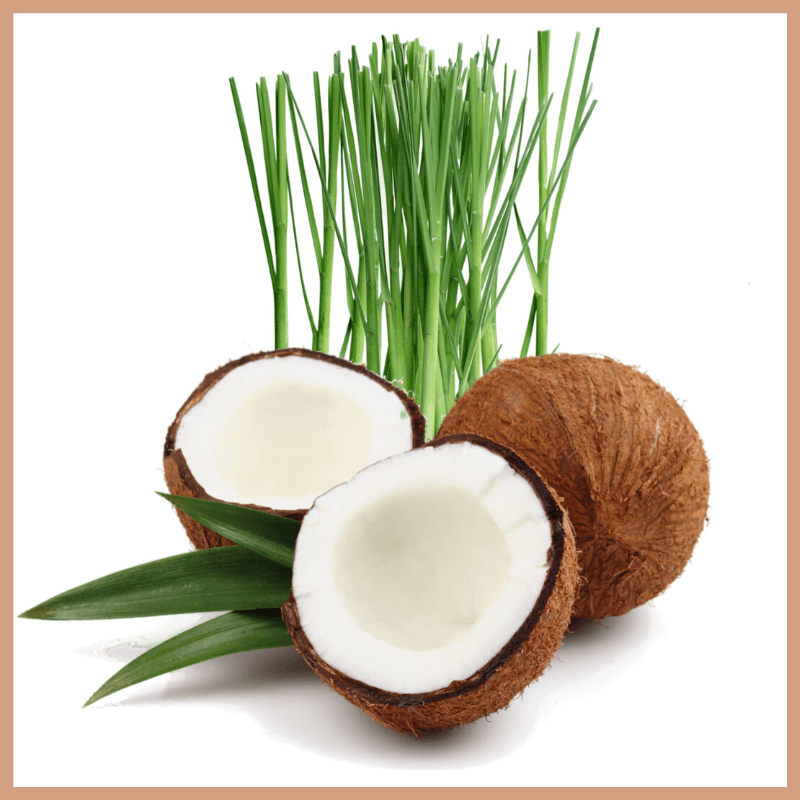 Coconut & Lemongrass Fragrance Oil